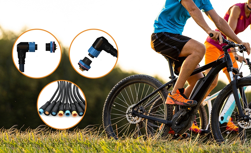 基礎型網站建設